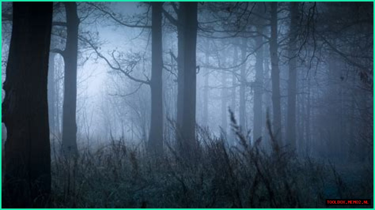 The Bizarre Legend Of The New England Cryptid, The Egopantis